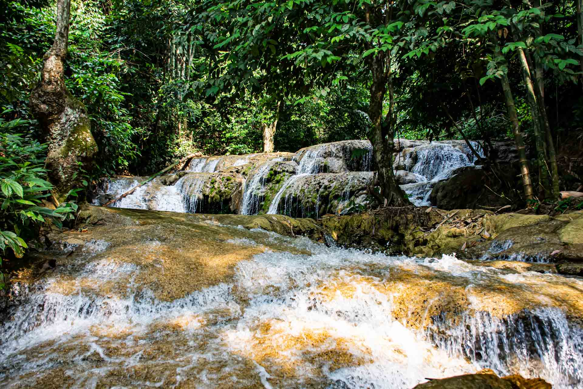 /fm/Files//Pictures/Ido Uploads(1)/Asia/Vietnam/Pu Luong/Pu Luong - Huou Waterfall Forest - SS.jpg